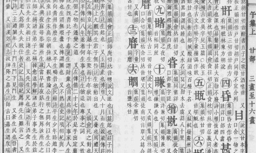 半夏的药用价值是根还是叶-半夏的根图片网 - 为你提供半夏的根是什么样的、半夏的药用价值是根还是叶