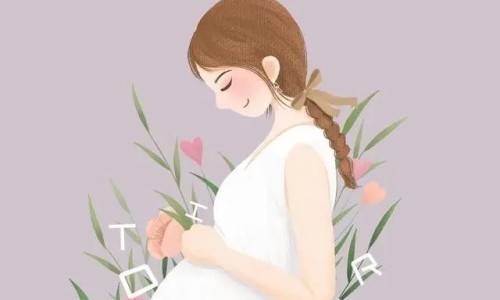 半夏的根图片网 - 为你提供半夏的根是什么样的、半夏的药用价值是根还是叶