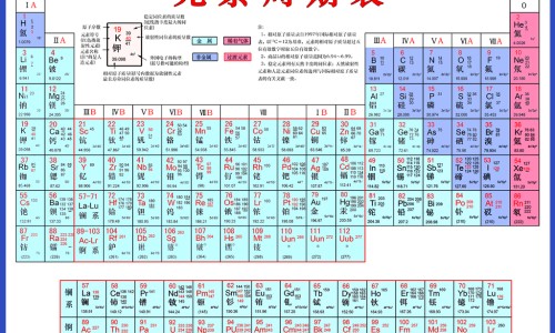 半夏根部图片-半夏的根图片网 - 为你提供半夏的根是什么样的、半夏的药用价值是根还是叶